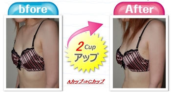 2981_bup_3cup_inaba.JPG